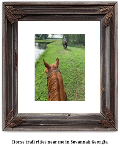 horse trail rides near me in Savannah, Georgia